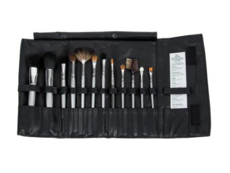 KIT DE BROCHAS DE MAQUILLAJE PROFESIONAL